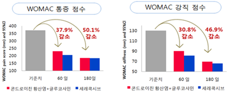 글루코사민 상어연골 복합제 제이비티, “효과만족 100% 환불 보장 이벤트” 실시